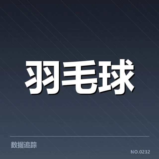 中国青少年羽毛球公开赛：赛事发展面临哪些挑战